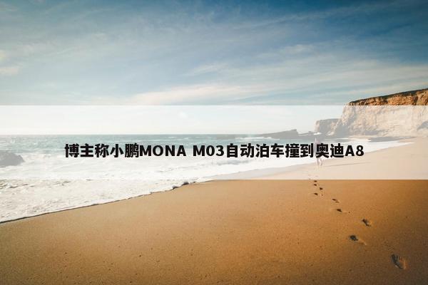 博主称小鹏MONA M03自动泊车撞到奥迪A8