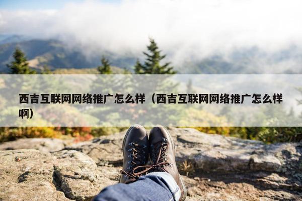 西吉互联网网络推广怎么样（西吉互联网网络推广怎么样啊）