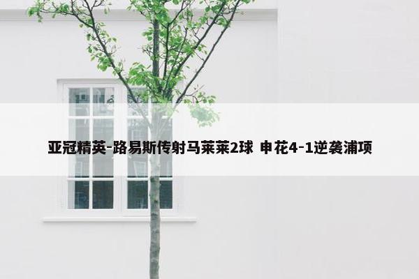 亚冠精英-路易斯传射马莱莱2球 申花4-1逆袭浦项