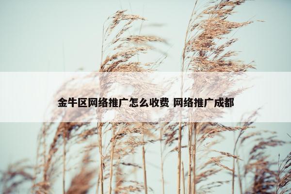 金牛区网络推广怎么收费 网络推广成都