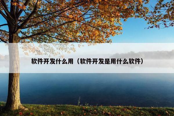 软件开发什么用（软件开发是用什么软件）