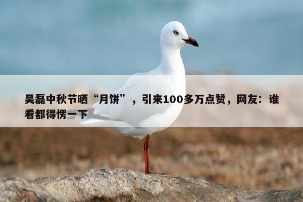 吴磊中秋节晒“月饼”，引来100多万点赞，网友：谁看都得愣一下