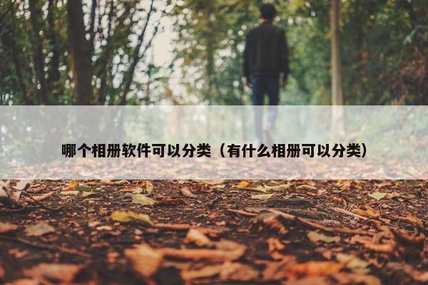 哪个相册软件可以分类（有什么相册可以分类）