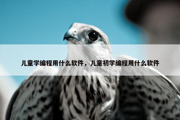 儿童学编程用什么软件，儿童初学编程用什么软件