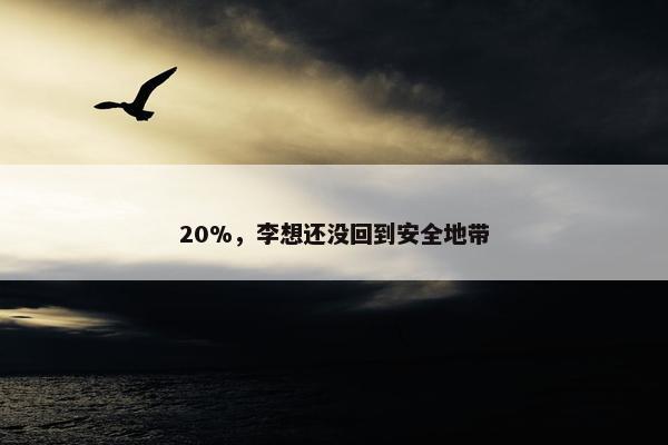 20%，李想还没回到安全地带