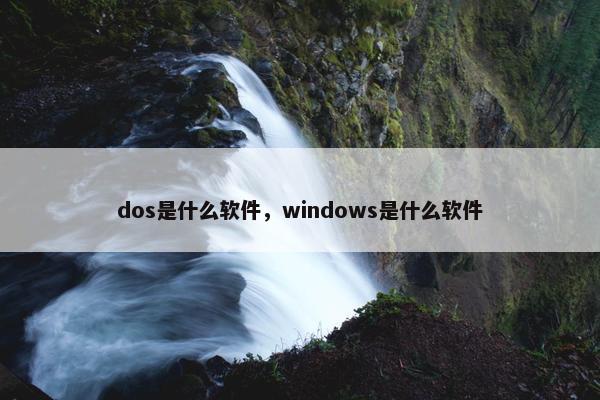 dos是什么软件，windows是什么软件