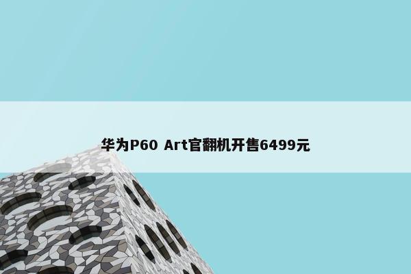 华为P60 Art官翻机开售6499元