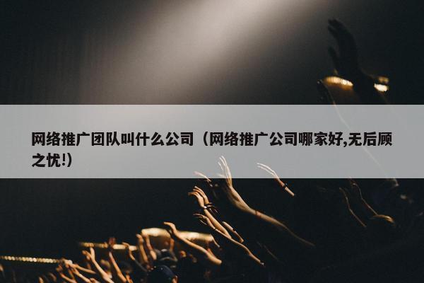 网络推广团队叫什么公司（网络推广公司哪家好,无后顾之忧!）