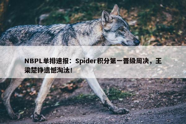 NBPL单排速报：Spider积分第一晋级周决，王梁楚铮遗憾淘汰！