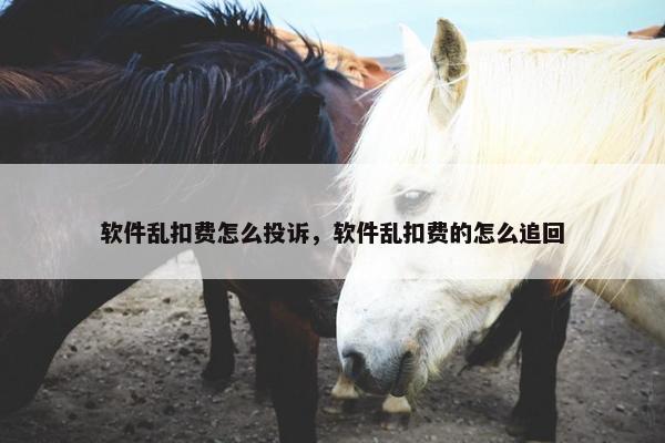 软件乱扣费怎么投诉，软件乱扣费的怎么追回