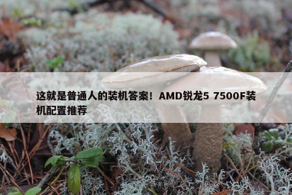 这就是普通人的装机答案！AMD锐龙5 7500F装机配置推荐