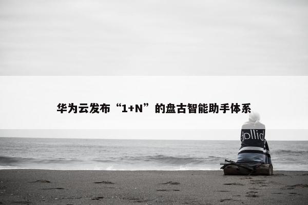 华为云发布“1+N”的盘古智能助手体系