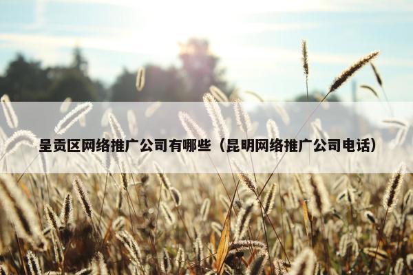 呈贡区网络推广公司有哪些（昆明网络推广公司电话）