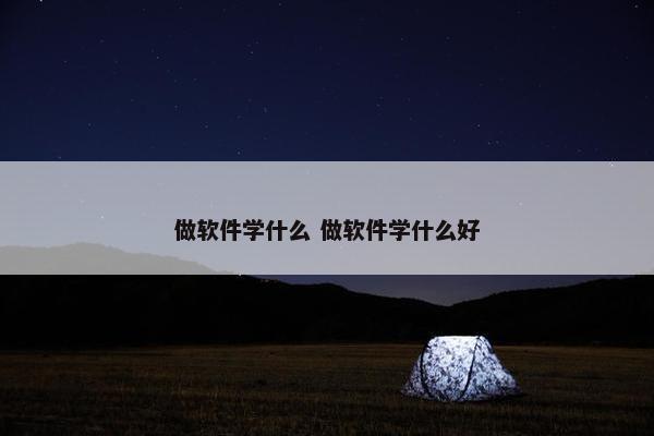 做软件学什么 做软件学什么好