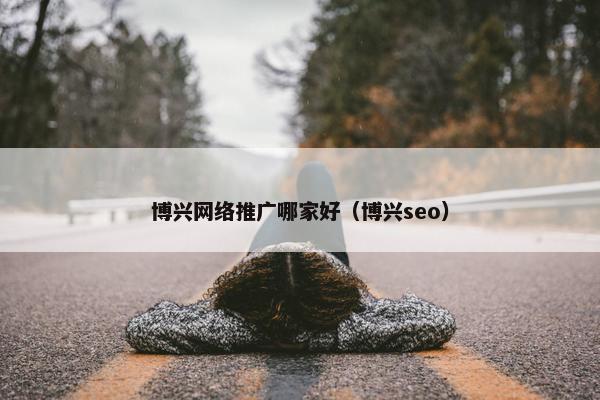 博兴网络推广哪家好（博兴seo）