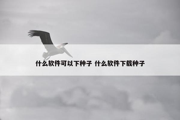 什么软件可以下种子 什么软件下载种子