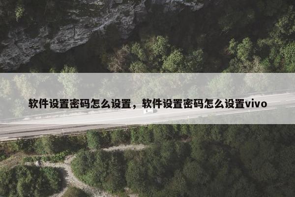 软件设置密码怎么设置，软件设置密码怎么设置vivo