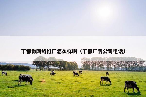 丰都做网络推广怎么样啊（丰都广告公司电话）