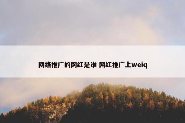 网络推广的网红是谁 网红推广上weiq