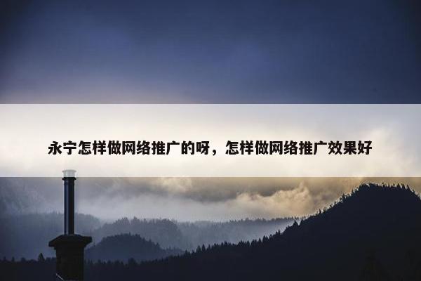 永宁怎样做网络推广的呀，怎样做网络推广效果好