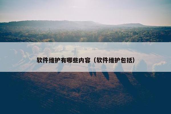 软件维护有哪些内容（软件维护包括）