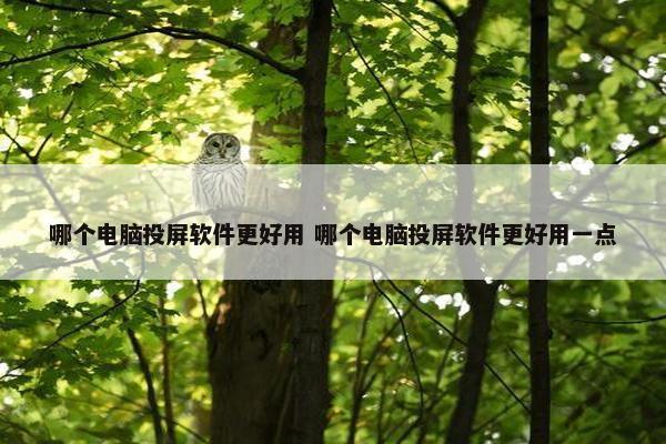 哪个电脑投屏软件更好用 哪个电脑投屏软件更好用一点