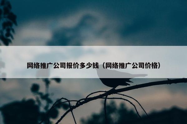 网络推广公司报价多少钱（网络推广公司价格）