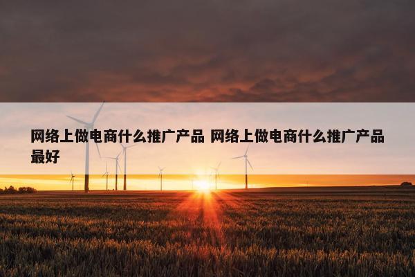 网络上做电商什么推广产品 网络上做电商什么推广产品最好