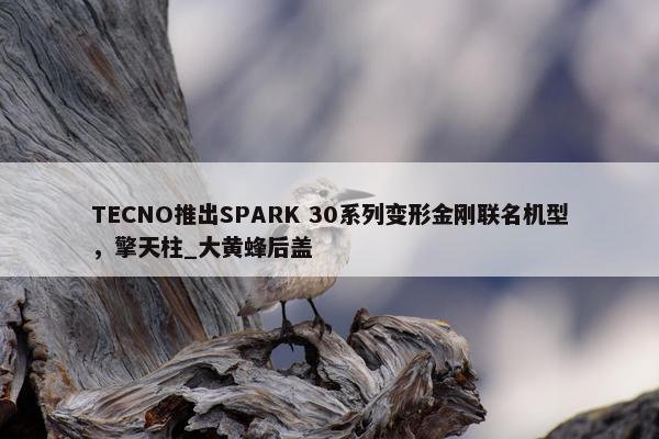 TECNO推出SPARK 30系列变形金刚联名机型，擎天柱_大黄蜂后盖