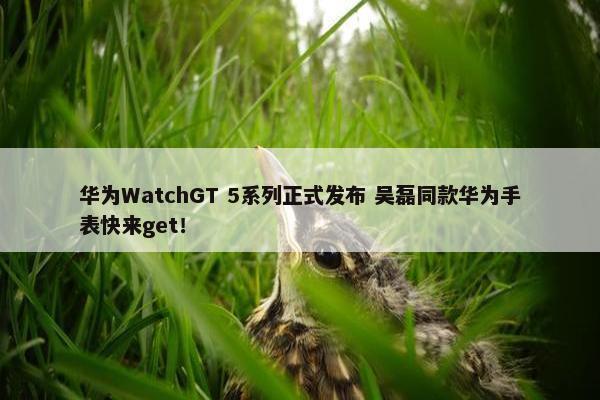 华为WatchGT 5系列正式发布 吴磊同款华为手表快来get！