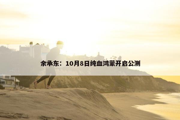 余承东：10月8日纯血鸿蒙开启公测