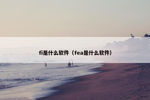 fi是什么软件（fea是什么软件）