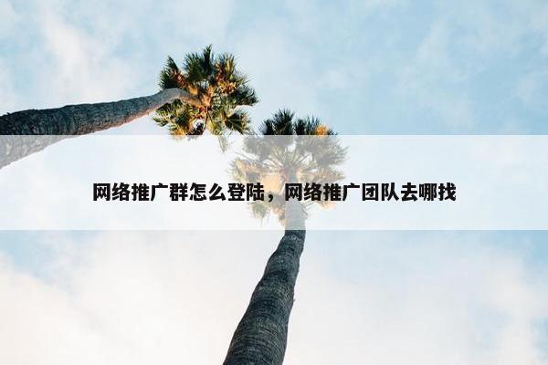 网络推广群怎么登陆，网络推广团队去哪找