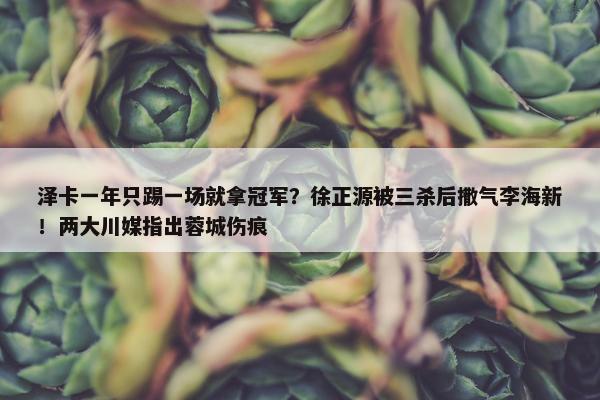 泽卡一年只踢一场就拿冠军？徐正源被三杀后撒气李海新！两大川媒指出蓉城伤痕