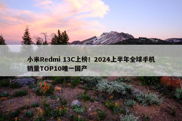 小米Redmi 13C上榜！2024上半年全球手机销量TOP10唯一国产