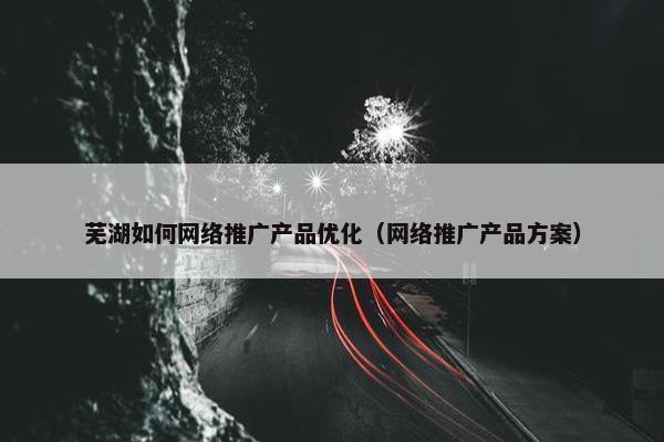 芜湖如何网络推广产品优化（网络推广产品方案）