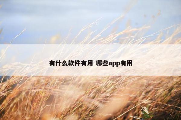 有什么软件有用 哪些app有用