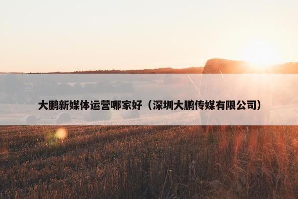 大鹏新媒体运营哪家好（深圳大鹏传媒有限公司）