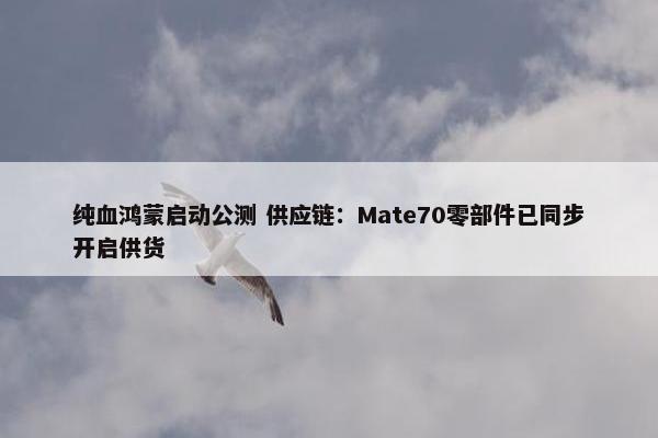 纯血鸿蒙启动公测 供应链：Mate70零部件已同步开启供货