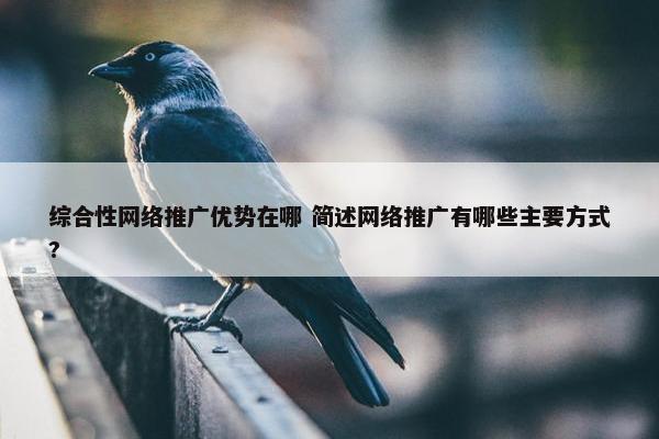 综合性网络推广优势在哪 简述网络推广有哪些主要方式?