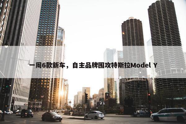 一周6款新车，自主品牌围攻特斯拉Model Y