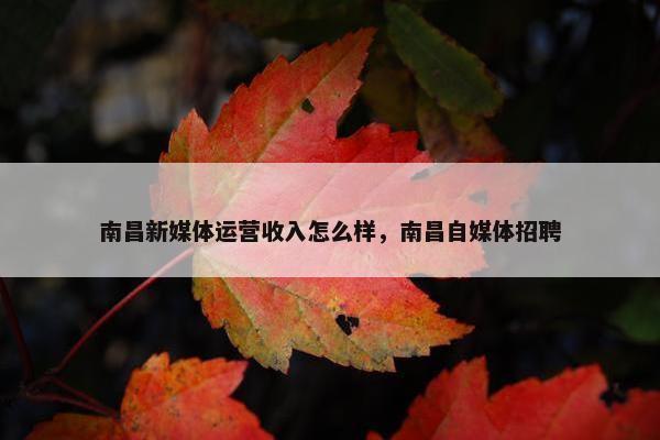 南昌新媒体运营收入怎么样，南昌自媒体招聘