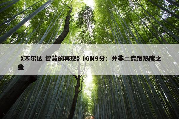 《塞尔达 智慧的再现》IGN9分：并非二流蹭热度之辈