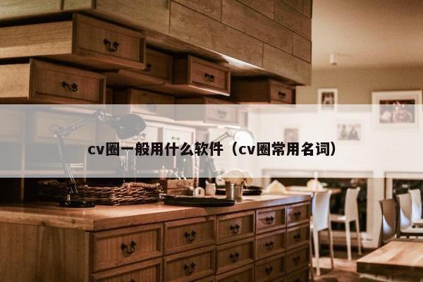 cv圈一般用什么软件（cv圈常用名词）