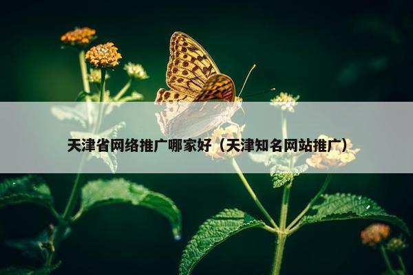 天津省网络推广哪家好（天津知名网站推广）