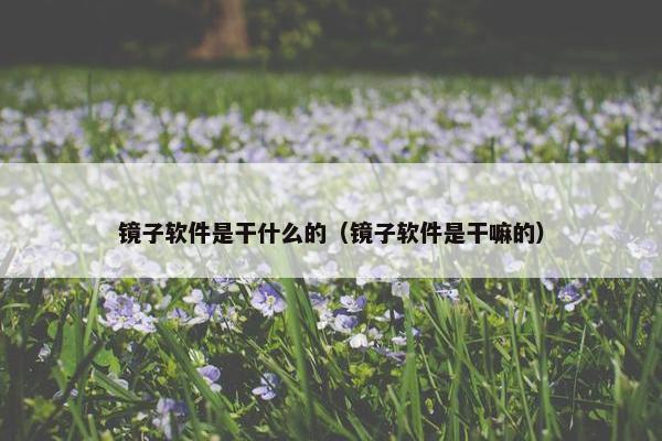 镜子软件是干什么的（镜子软件是干嘛的）