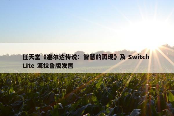 任天堂《塞尔达传说：智慧的再现》及 Switch Lite 海拉鲁版发售