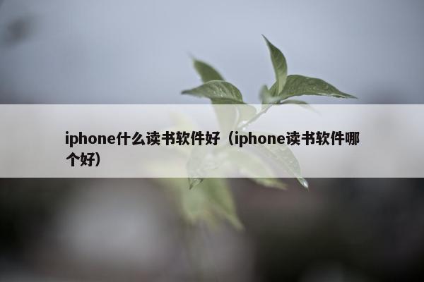 iphone什么读书软件好（iphone读书软件哪个好）