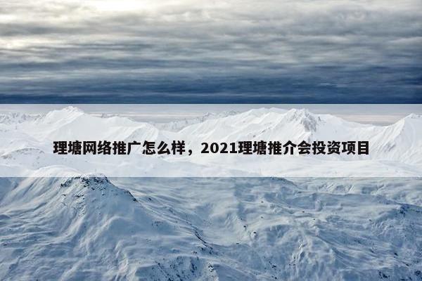 理塘网络推广怎么样，2021理塘推介会投资项目