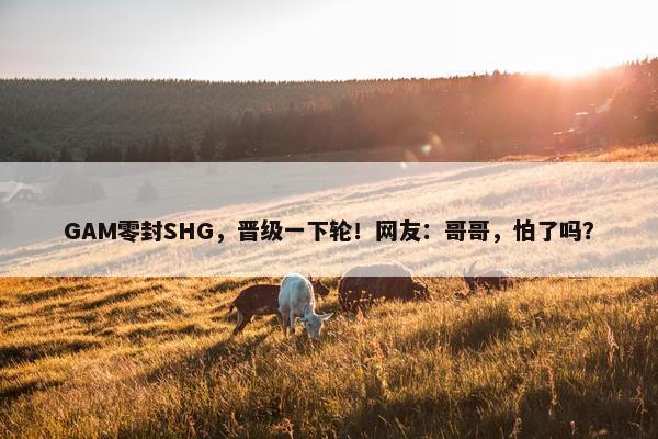 GAM零封SHG，晋级一下轮！网友：哥哥，怕了吗？